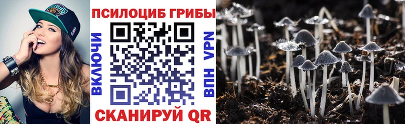 Галлюциногенные грибы мицелий  Купить  Кремёнки 